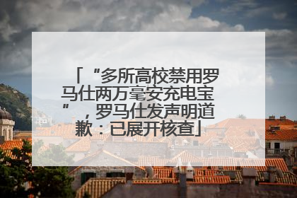 “多所高校禁用罗马仕两万毫安充电宝”，罗马仕发声明道歉：已展开核查